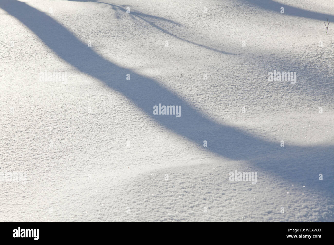 snow texture with ligthbeams and shadows, white background Stock Photo