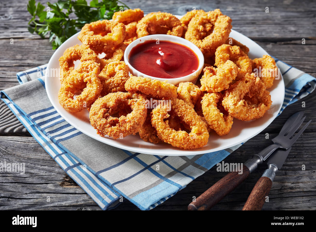 crispy calamari rings, deep-fried breaded squid rings served with tomato  sauce on a white plate on an old wooden table, horizontal view from above  Stock Photo - Alamy