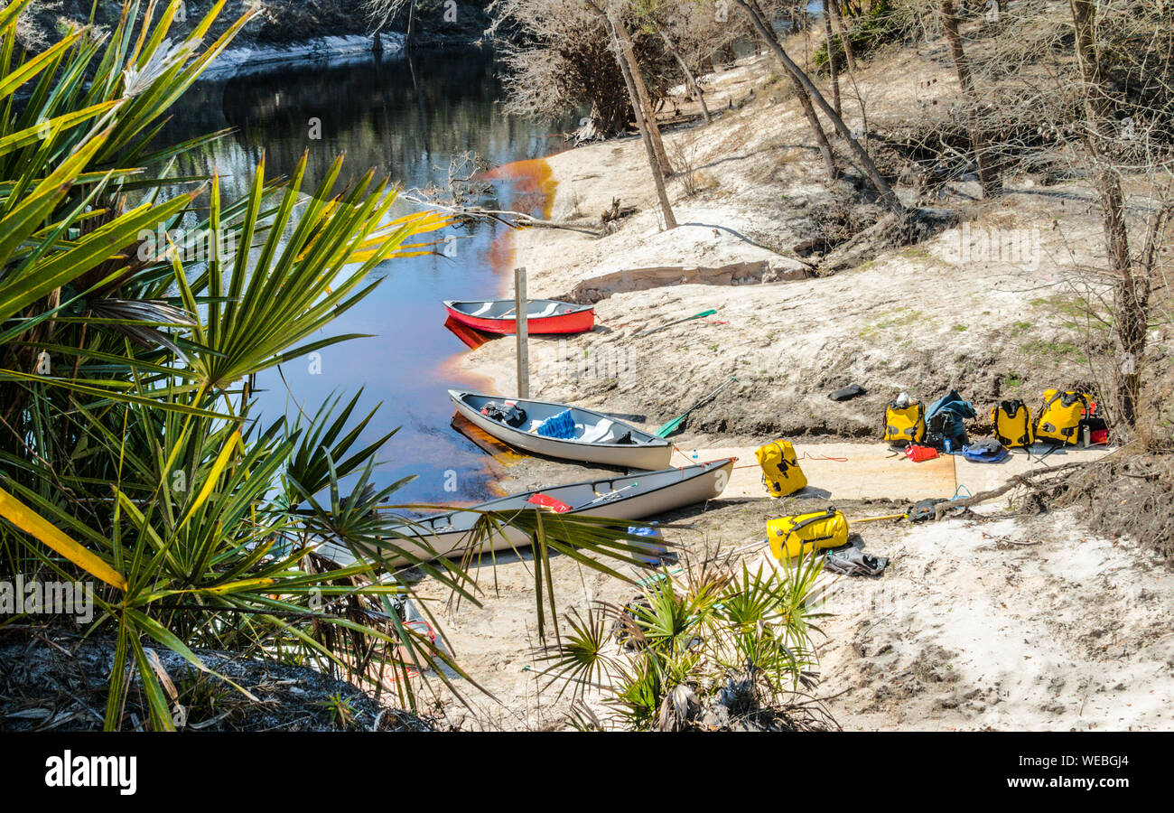 Canoes and gear packs on beach, ready for a trip down the Swannee River in Florida. Includes  Saw palmetto, sand, blackwater.  Copy space. Stock Photo