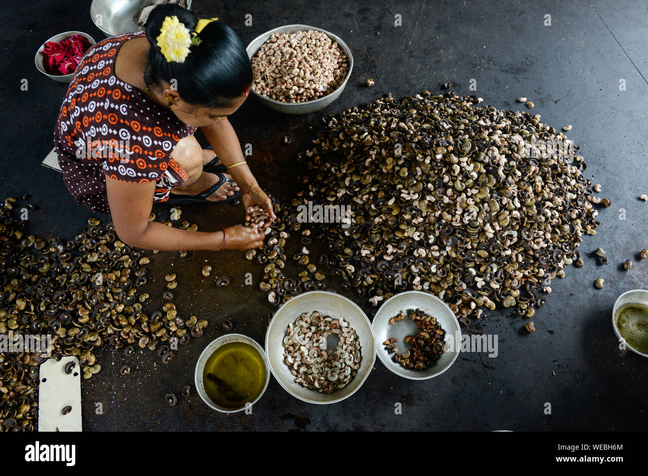 raw cashew nuts india