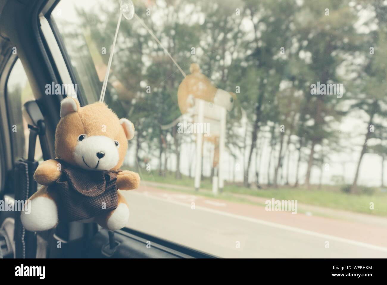 car hanging teddy bear