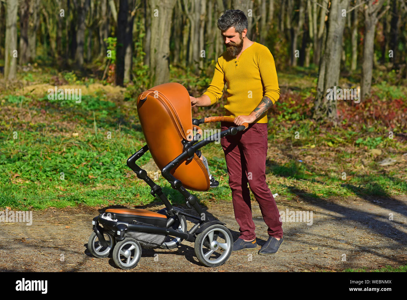 Bearded man walk baby pram in spring park on fathers day. Fathers day concept. The best father ever. Casually cool dad. Stock Photo