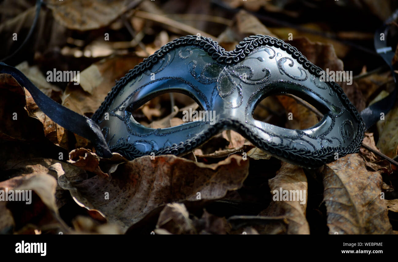 Black masquerade ball victorian mask on fallen leaves Stock Photo