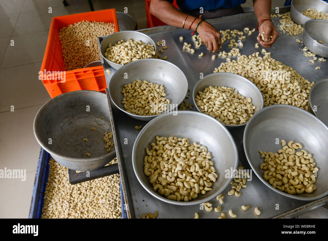 salted cashew kernels for export 