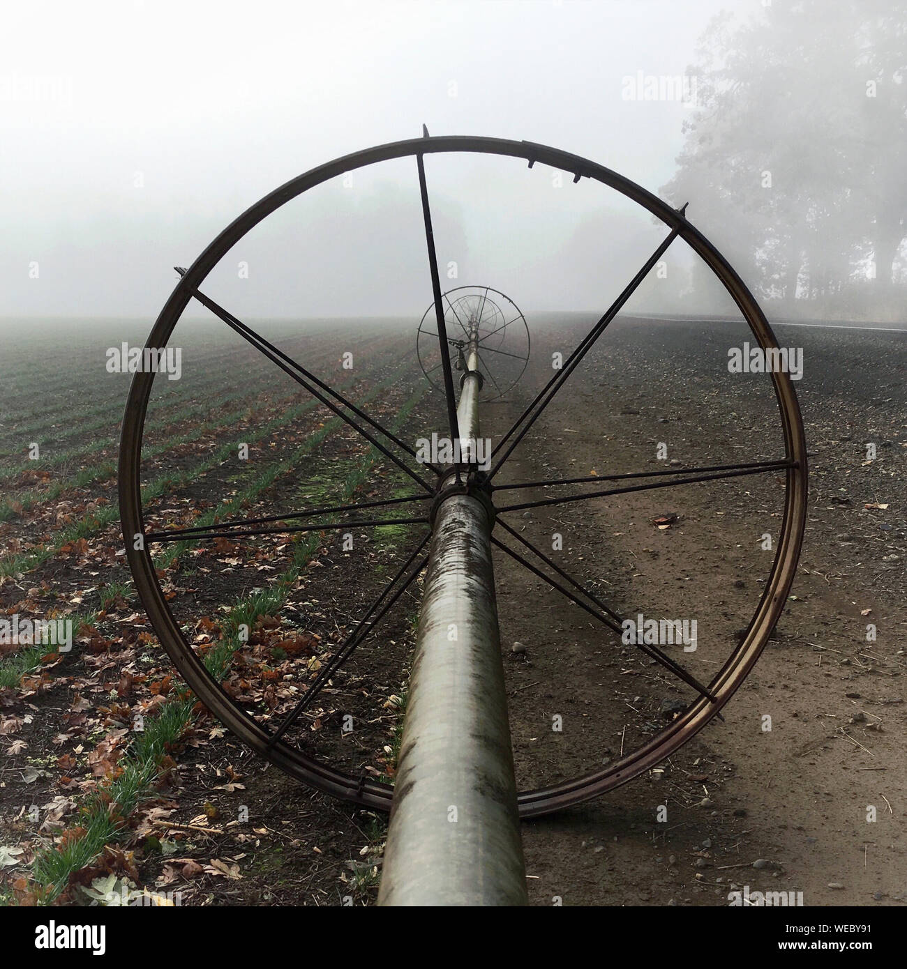 Irrigation pipe hi-res stock photography and images - Alamy
