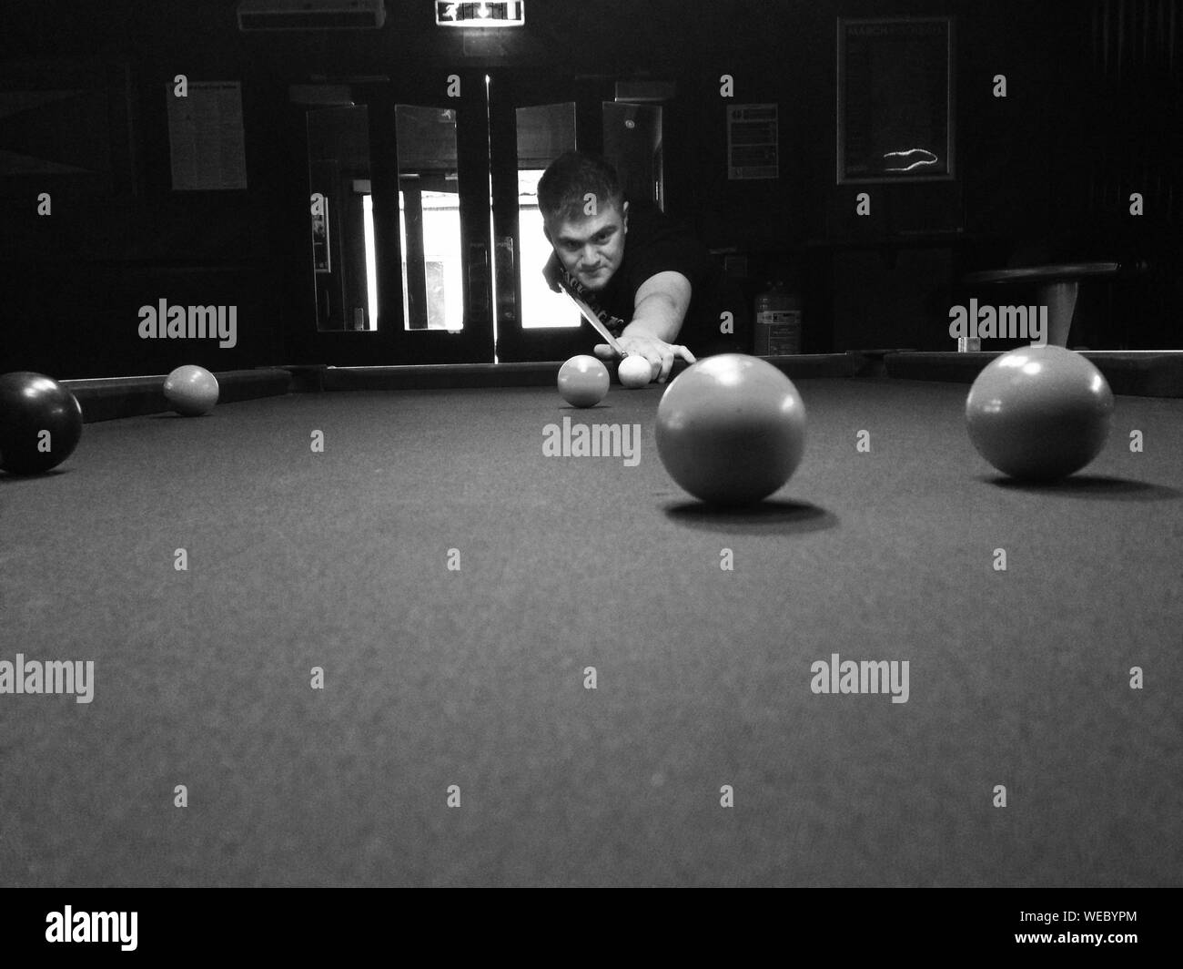 Mr Ed~Horse~TV Show~Playing Pool~Pool Hall~Billiards~Shooting Pool~16"x20" Photo 