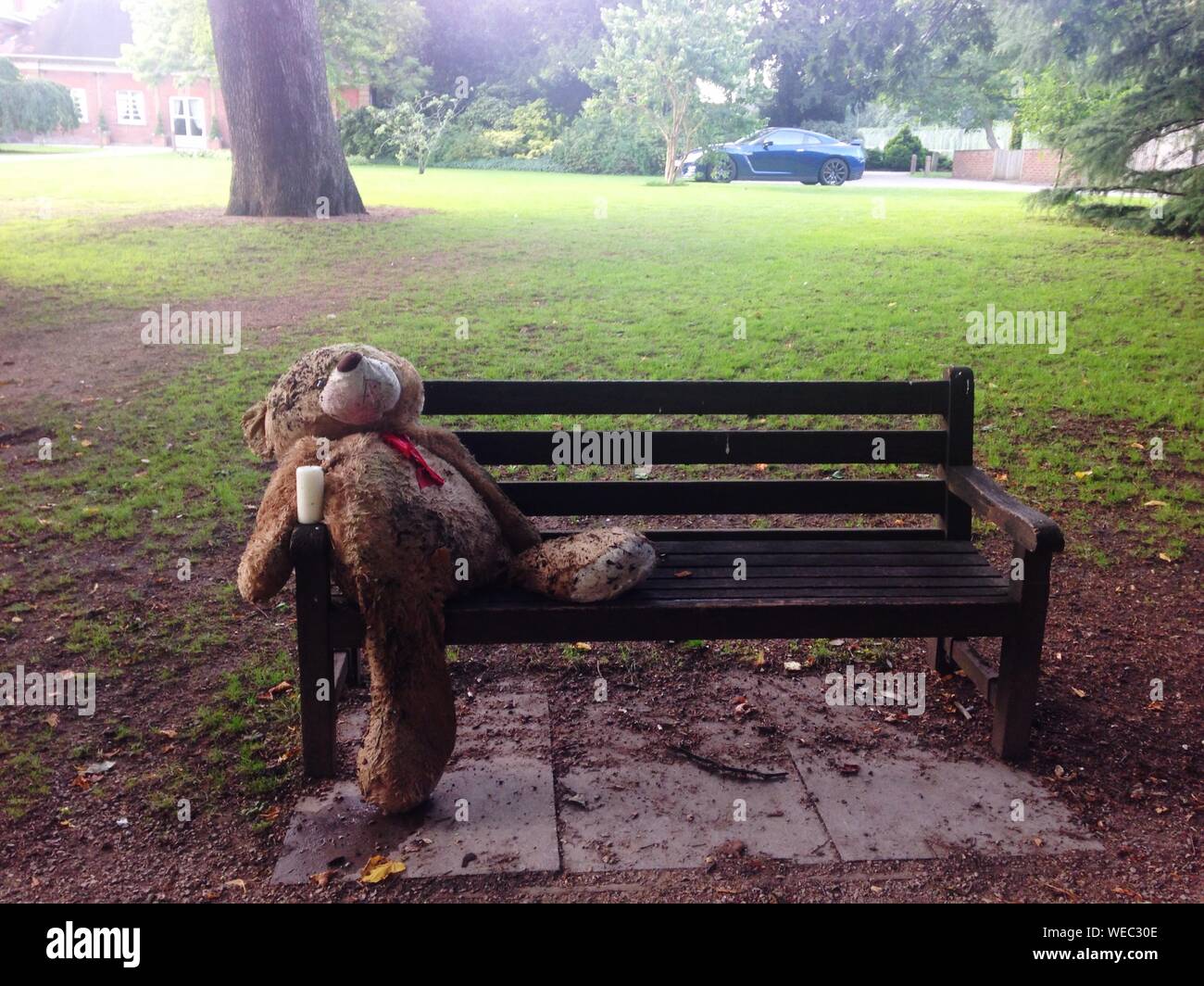 Teddy bear on bench hi-res stock photography and images - Alamy
