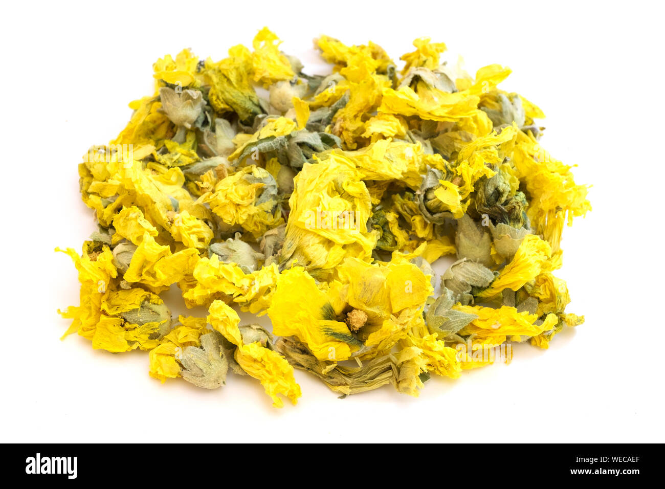Dried flowers of marsh mallow (Althaea officinalis) on a white background Stock Photo