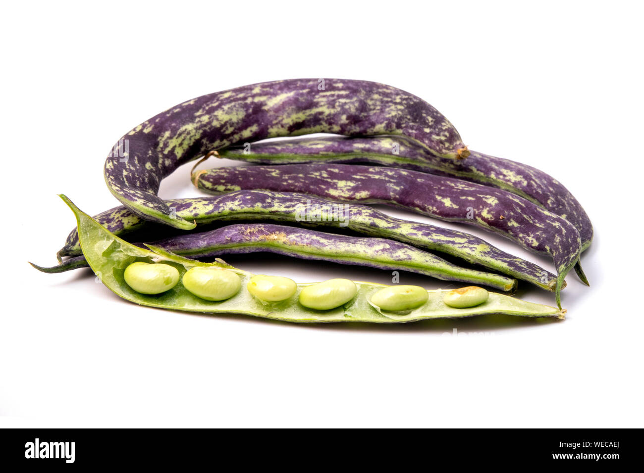 Rattlesnake beans (Phaseolus vulgaris) on a white background Stock Photo