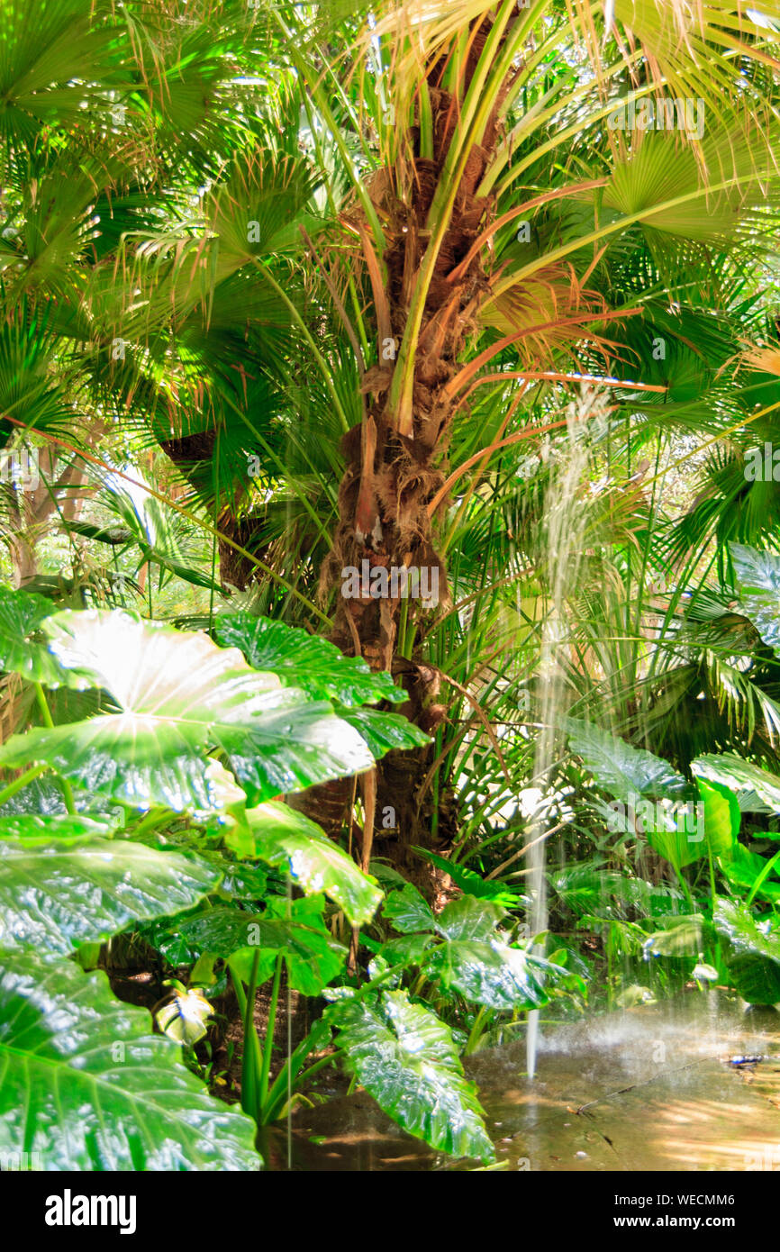 Udaipur,India,9,2007;beautiful gardens located in Udaipur called