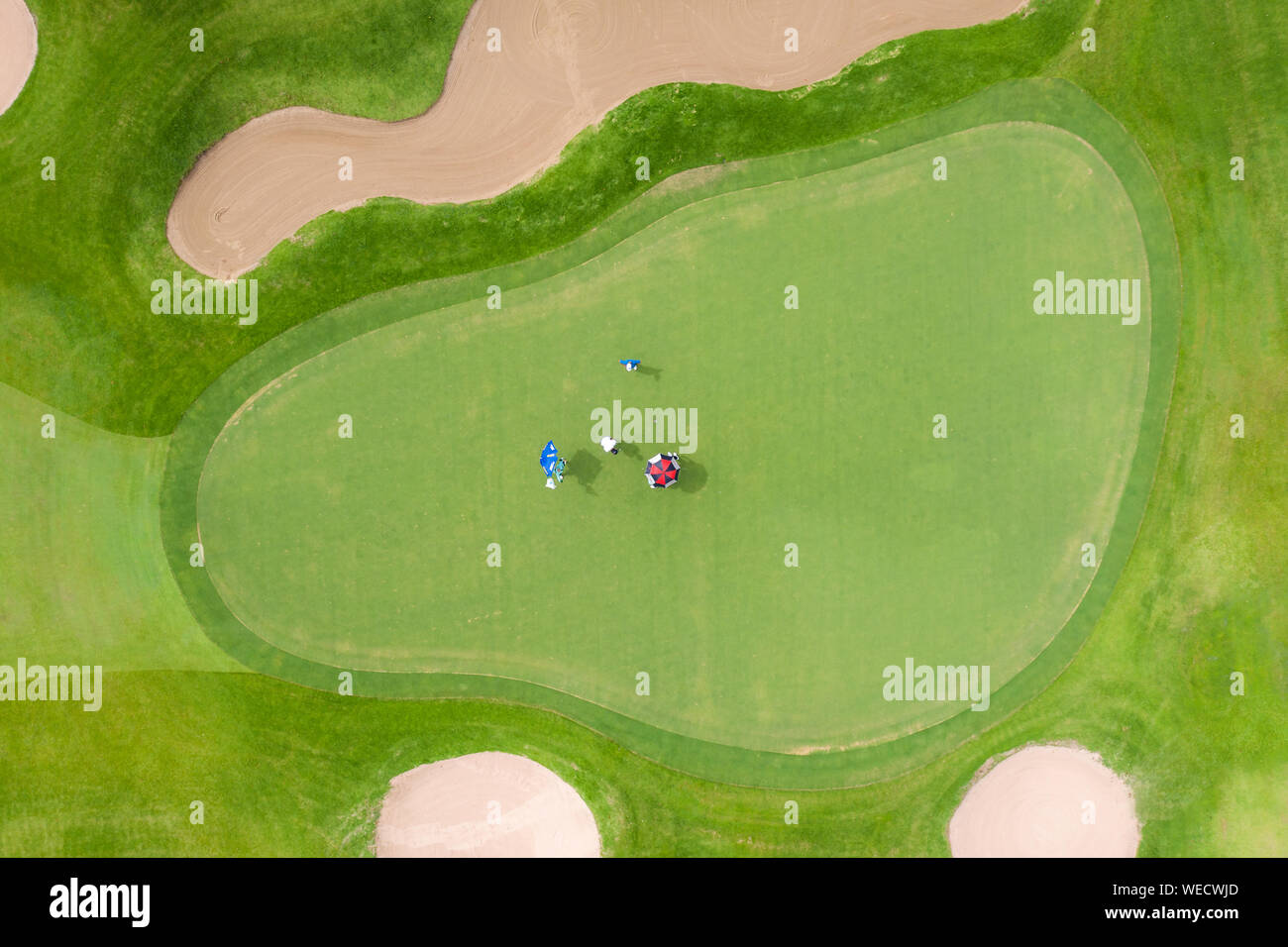 Aerial view of players on a green golf course. Golfer playing on