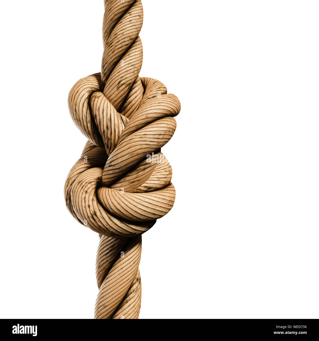 Rope Knot Isolated On A White Background As A Strong Nautical Marine Line  Tied Together As A Symbol For Trust And Faith And A Metaphor For Strength  Or Stress. Stock Photo, Picture