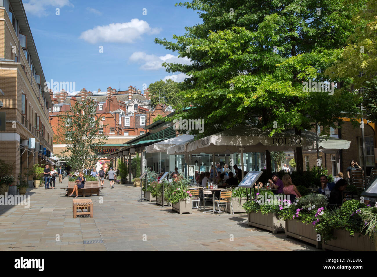 Polpo Bar and Restaurant, Duke of York Square, Chelsea, London; England