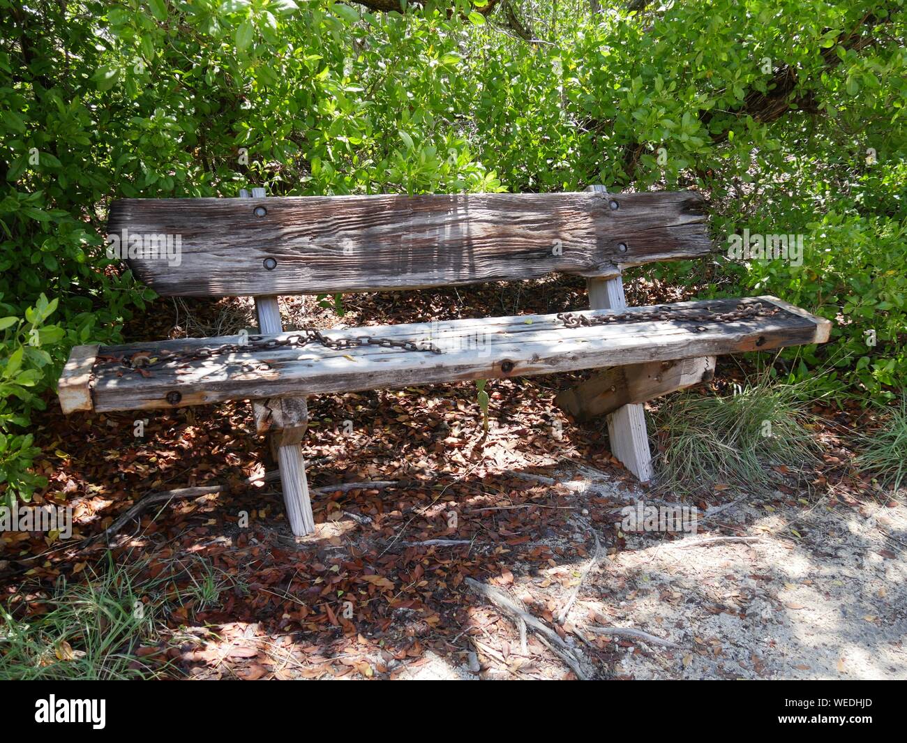 Wooden Bench With Chains At A Park Stock Photo 267059925 Alamy