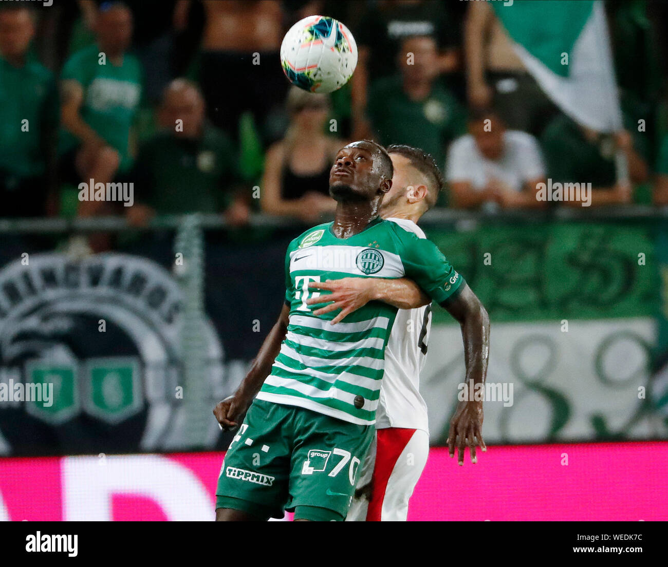 BUDAPEST, HUNGARY - AUGUST 9: Franck Boli of Ferencvarosi TC in action  during the UEFA Champions League Qualifying Round match between Ferencvarosi  TC and Qarabag FK at Ferencvaros Stadium on August 9