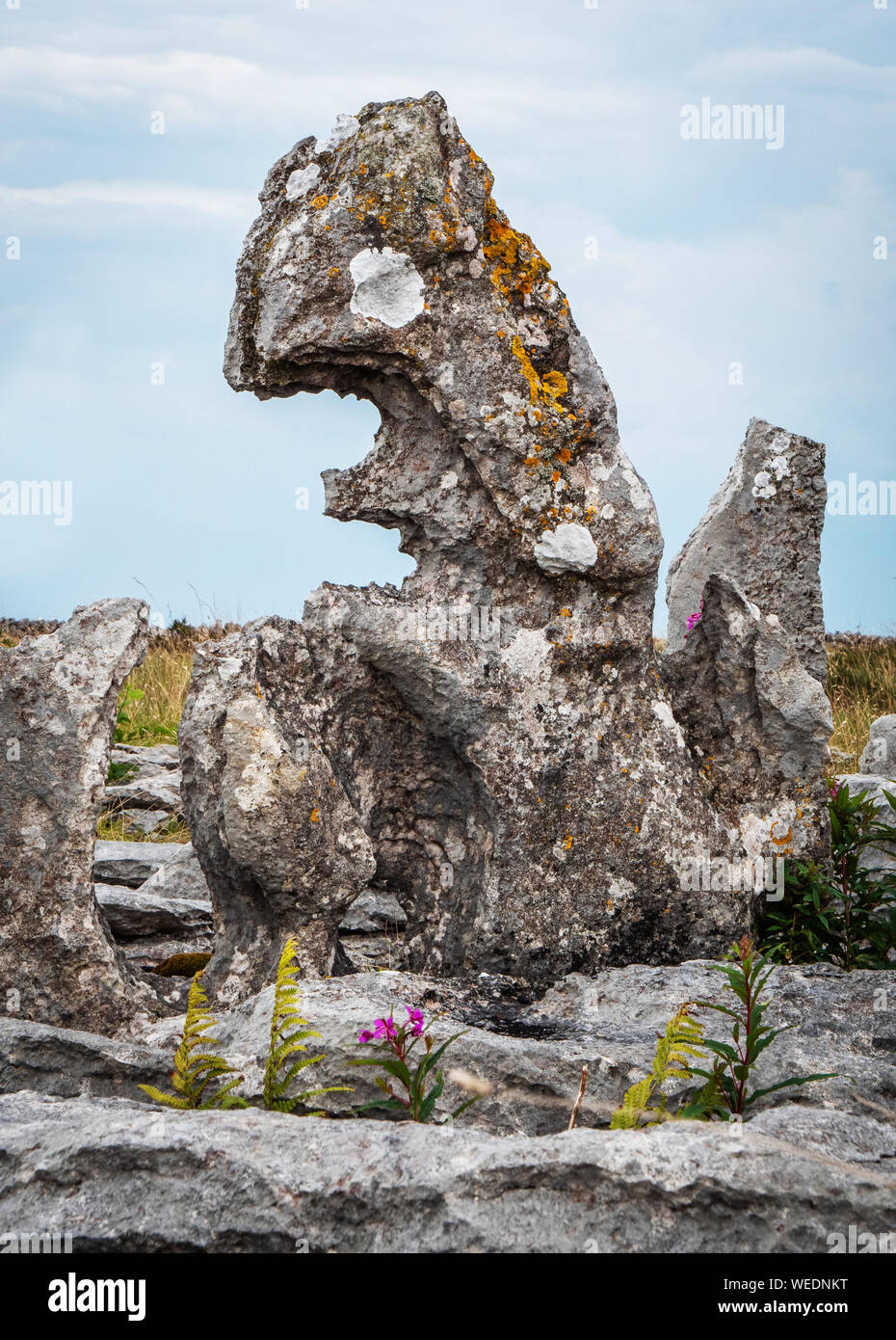 Standing stones of weathered carboniferous limestone among clints and grykes of Great Asby Scar Cumbria by or inspired by Andy Goldsworthy Stock Photo