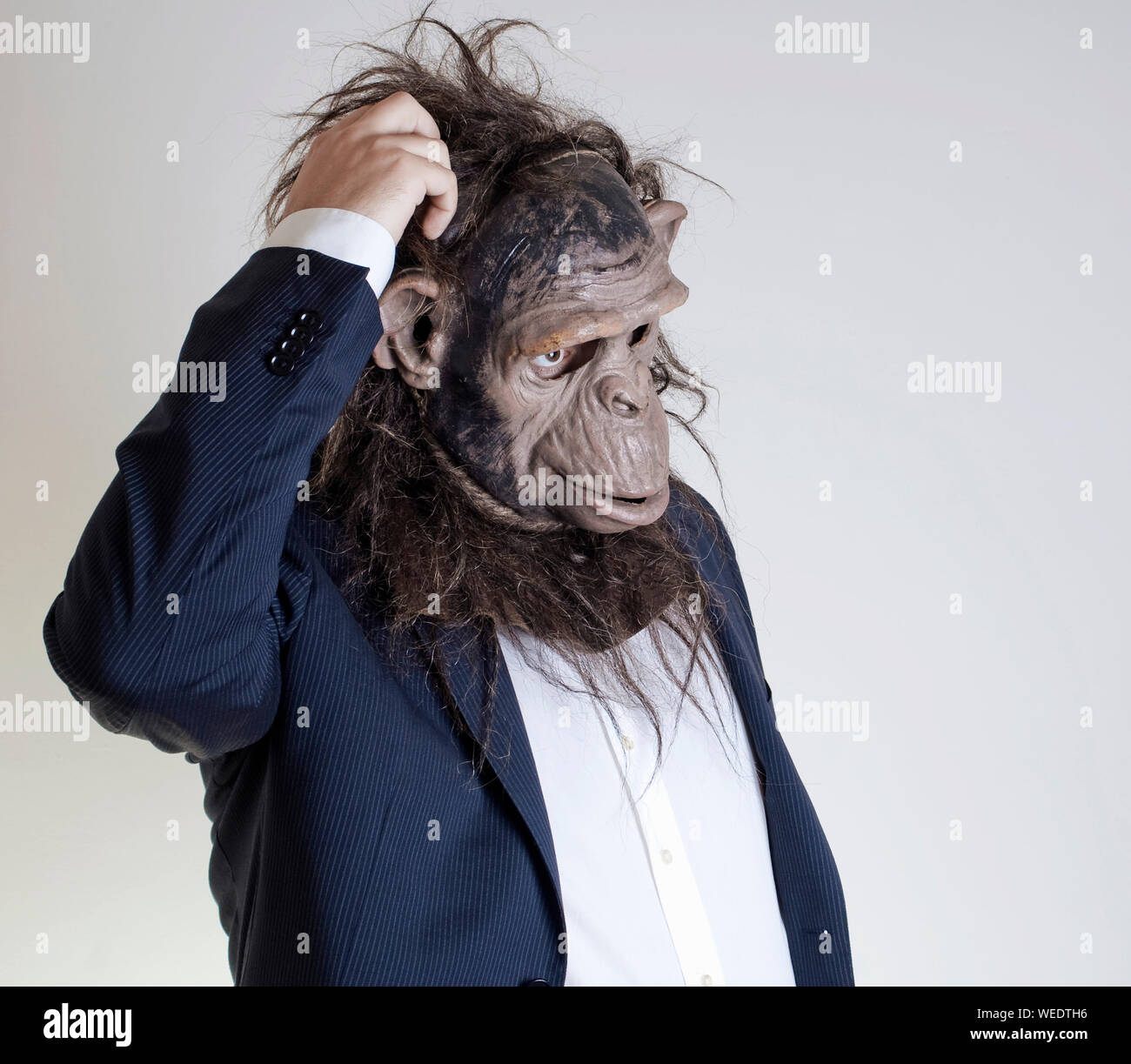 Download Monkey Mask High Resolution Stock Photography And Images Alamy PSD Mockup Templates