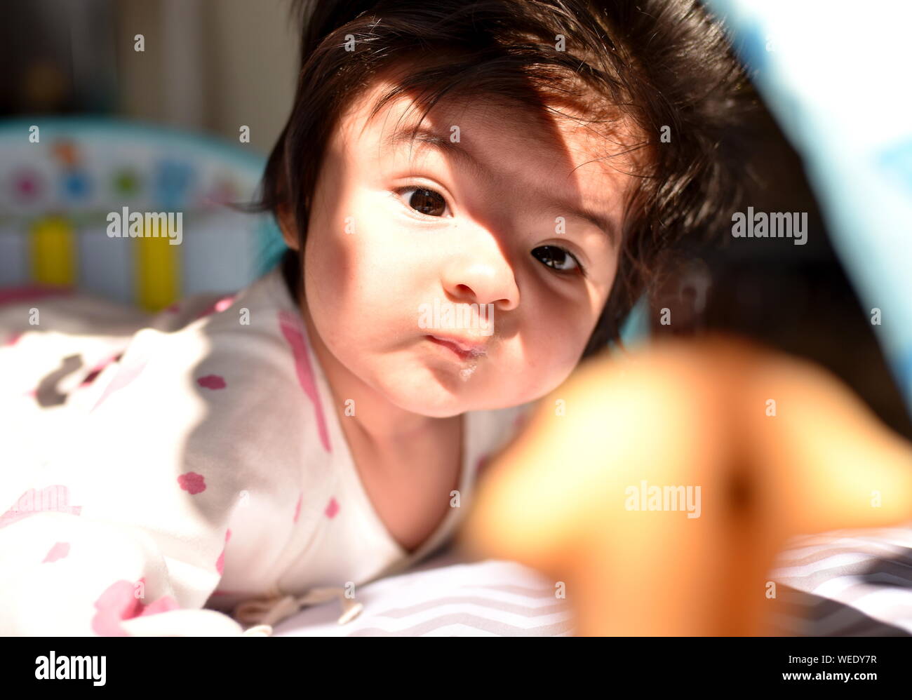 Cute mixed race baby girl looks attentively at her toys in nursery Stock Photo