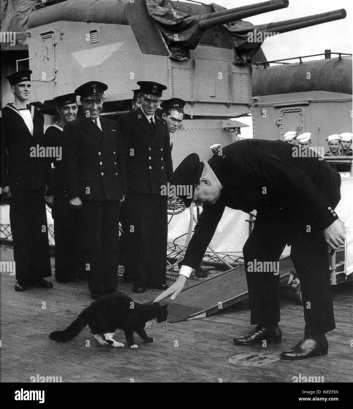 Churchill aboard HMS Prince of Wales on visit to Newfoundland for meeting with President Roosevelt. August 1941. Churchill greeting the ship's cat. Stock Photo