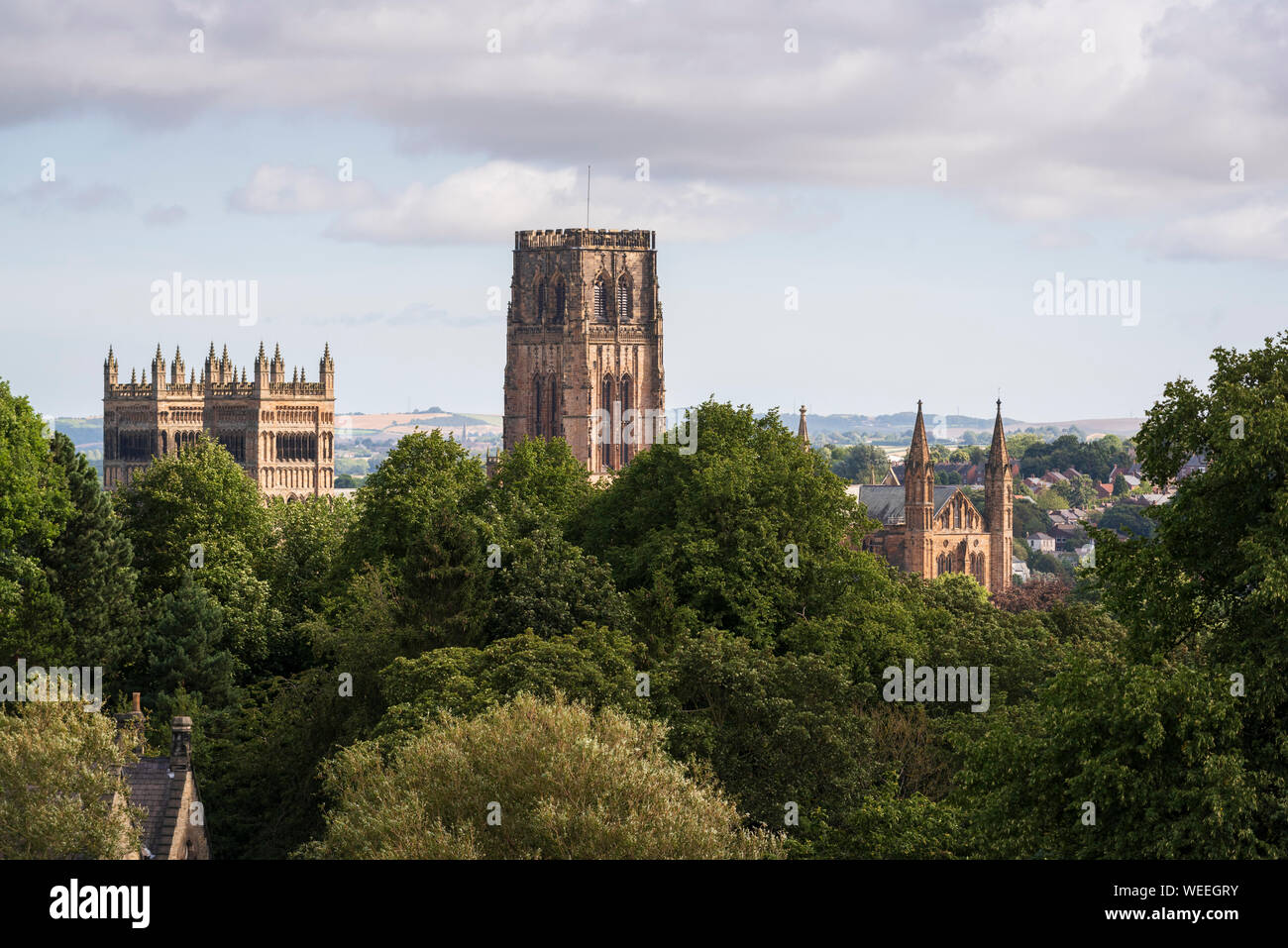 Historic Christian church - Gothic architecture of Durham Cathedral towering above woodland in the city of Durham in County Durham North East England Stock Photo