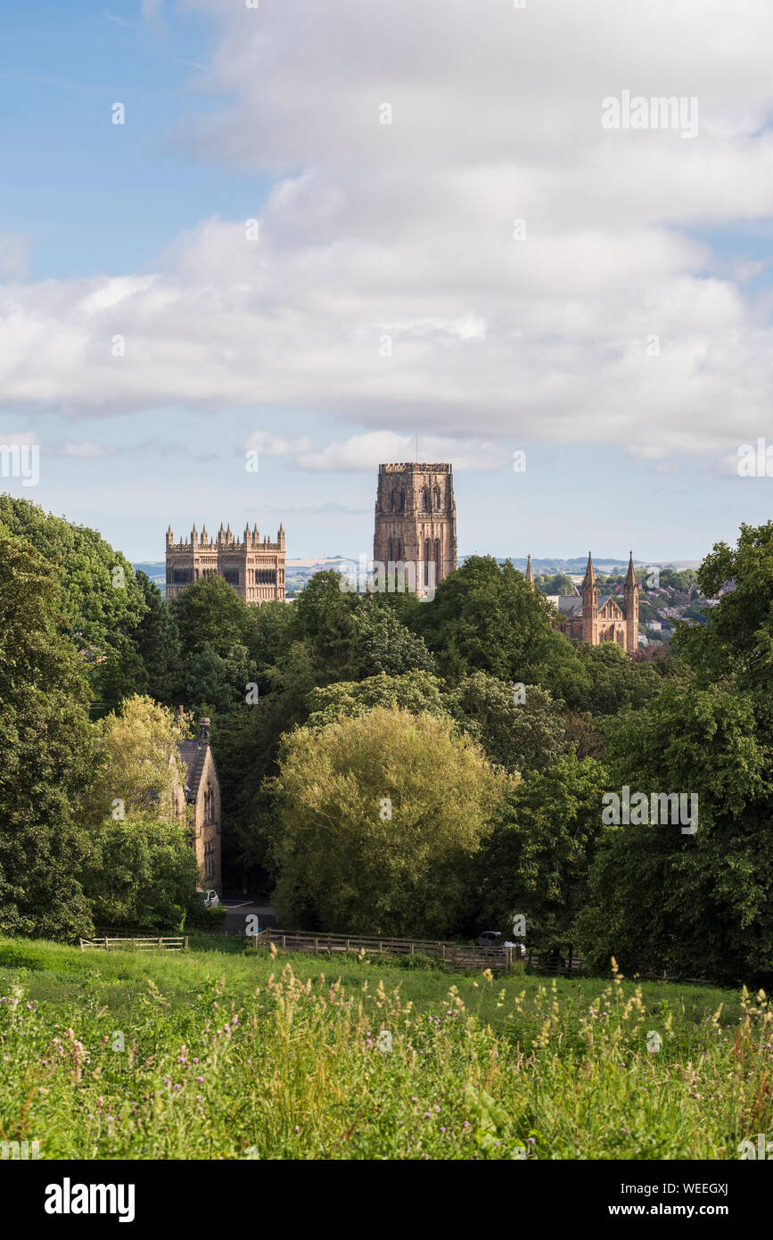 Historic Christian church - Gothic architecture of Durham Cathedral towering above woodland in the city of Durham in County Durham North East England Stock Photo