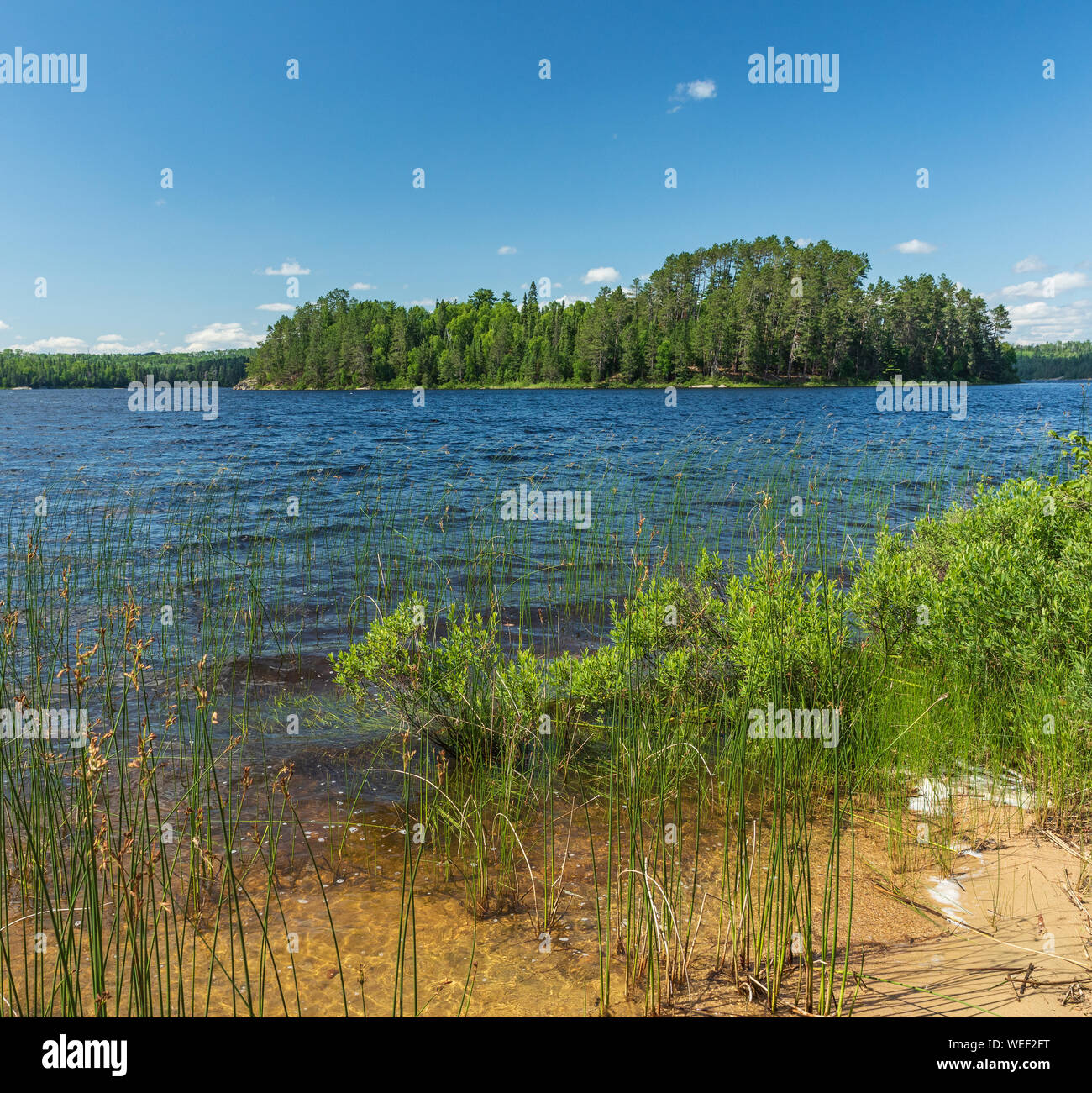 Quetico provincial park wilderness hires stock photography and images