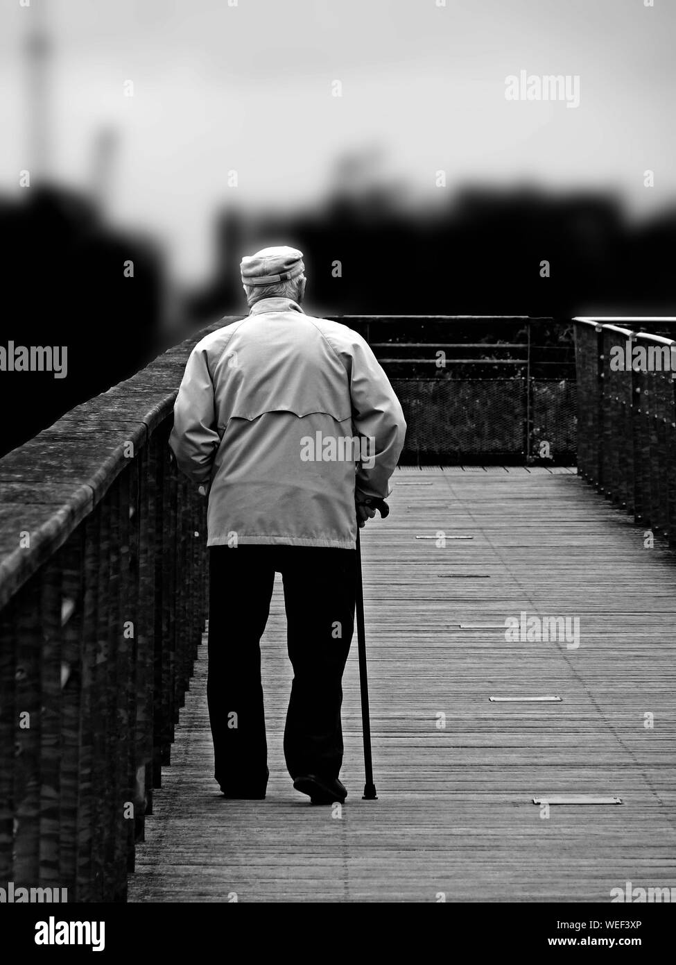 Rear View Of Senior Man With Walking Cane On Footbridge Stock Photo - Alamy