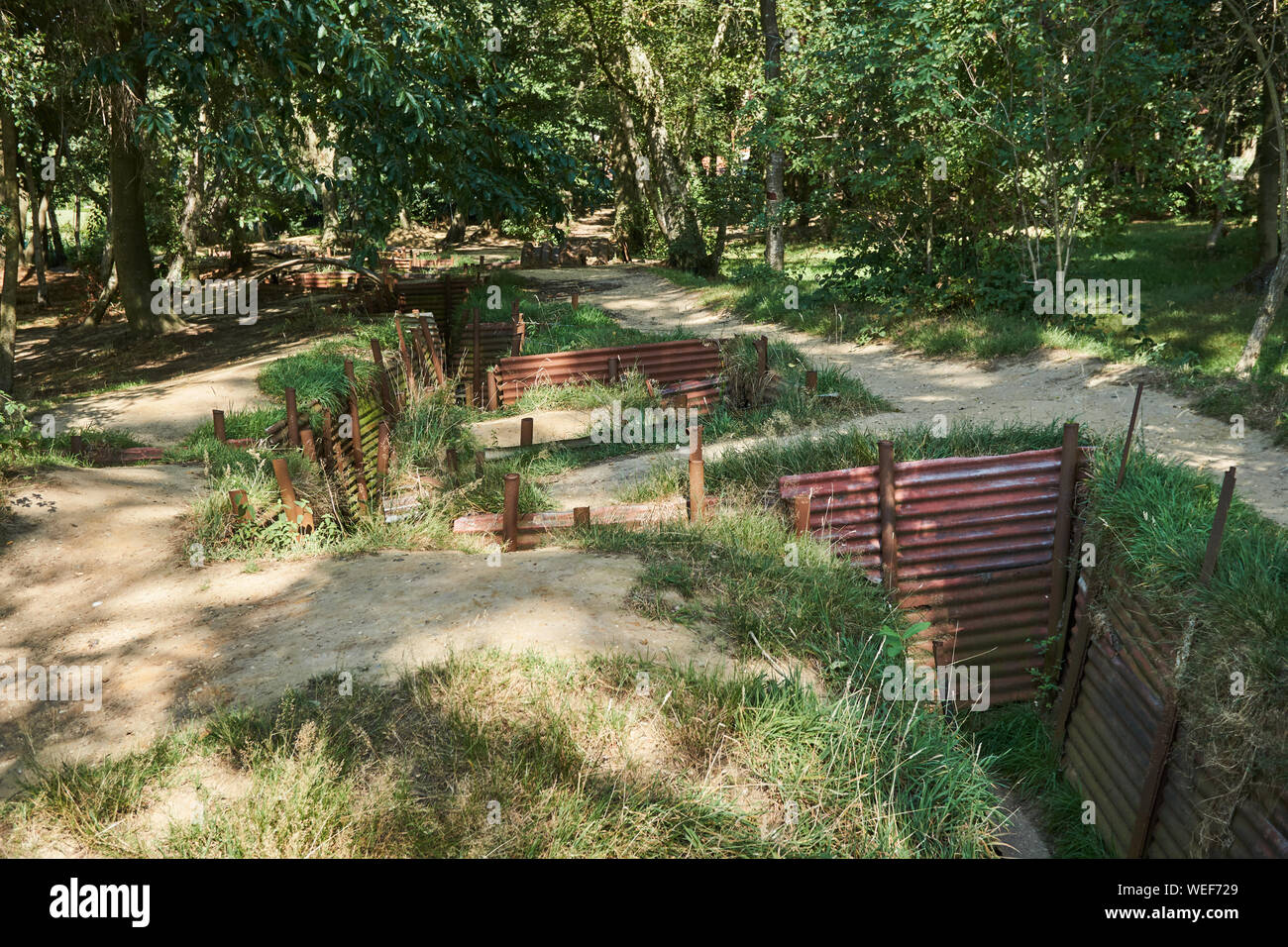 Trench systems in Sanctuary Wood. Belgium Stock Photo