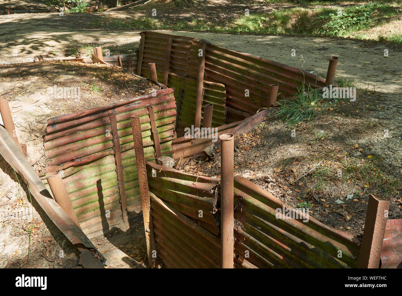 Trench systems in Sanctuary Wood. Belgium Stock Photo