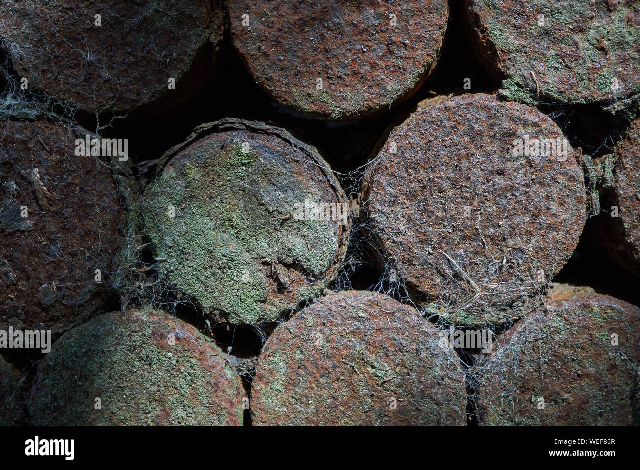 Rusting shell cases at Sanctuary Wood, Belgium Stock Photo