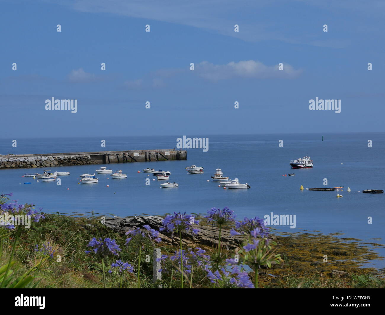 l'île de molène et son merveilleux port et ses bateaux multicolors et ses quais en granit et un banc bleu et blanc et l'île prise depuis le large Stock Photo