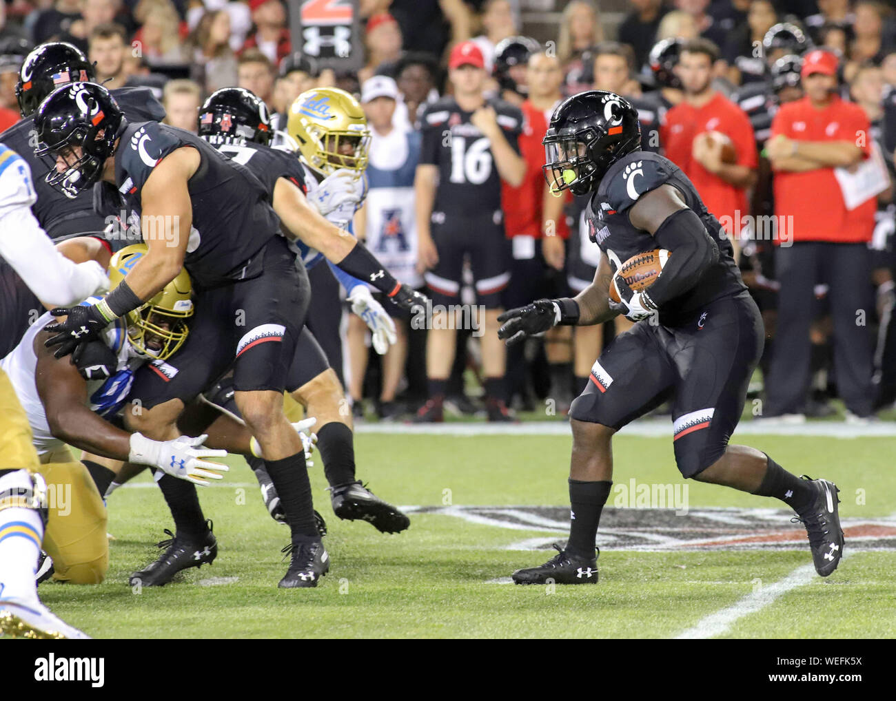 August 29, 2019: Cincinnati's Michael Warren II tries to find a hole to run through during an NCAA football game between the Cincinnati Bearcats and the UCLA Bruins at Nippert Stadium in Cincinnati, Ohio. Kevin Schultz/CSM Stock Photo