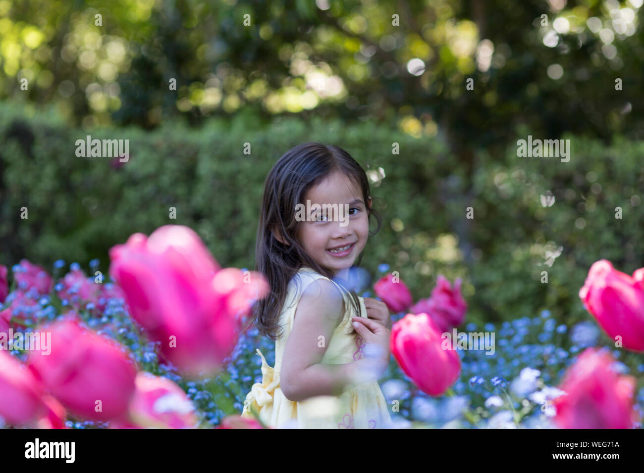 4-5 year old mixed Asian ethnicity girl running through tulips in park in California Stock Photo