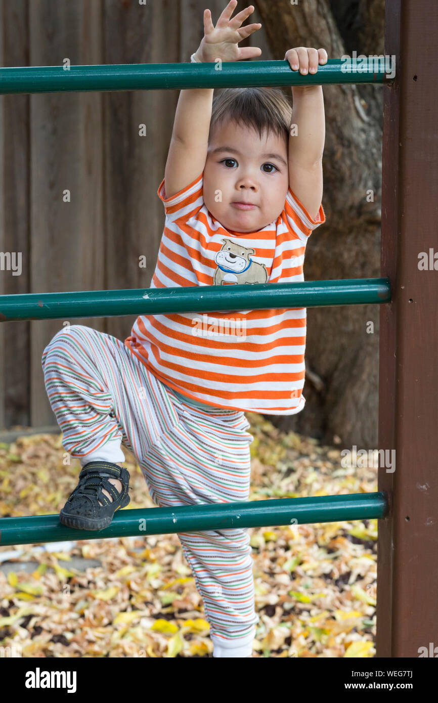 2-3 year old mixed ethnicity Asian boy climbing ladder in playground Stock Photo