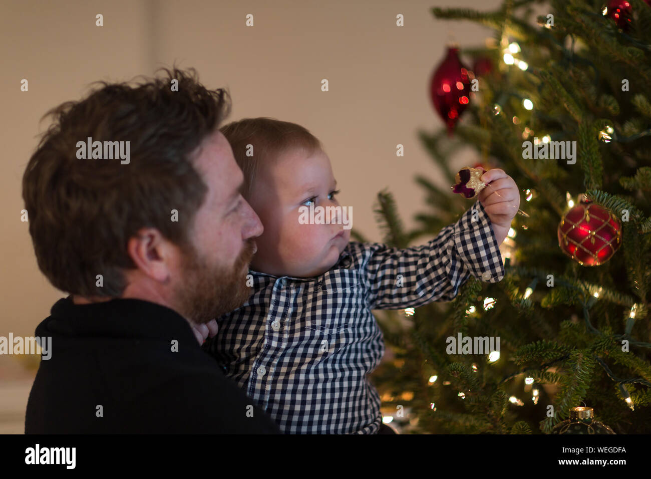 Father holds 1 year old boy who is reaching for decoration on Christmas tree Stock Photo