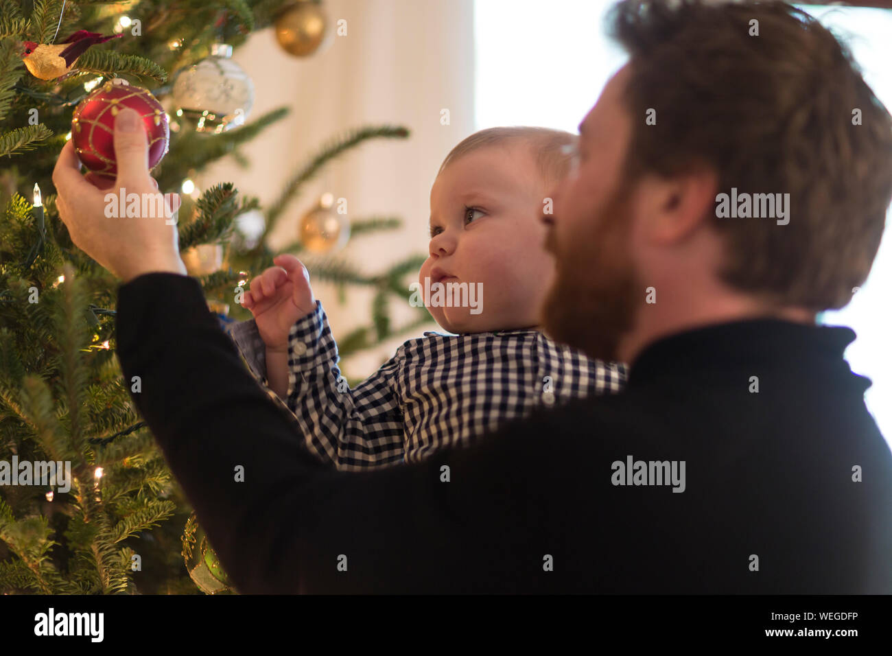 Father holds 1 year old boy who is reaching for decoration on Christmas tree Stock Photo