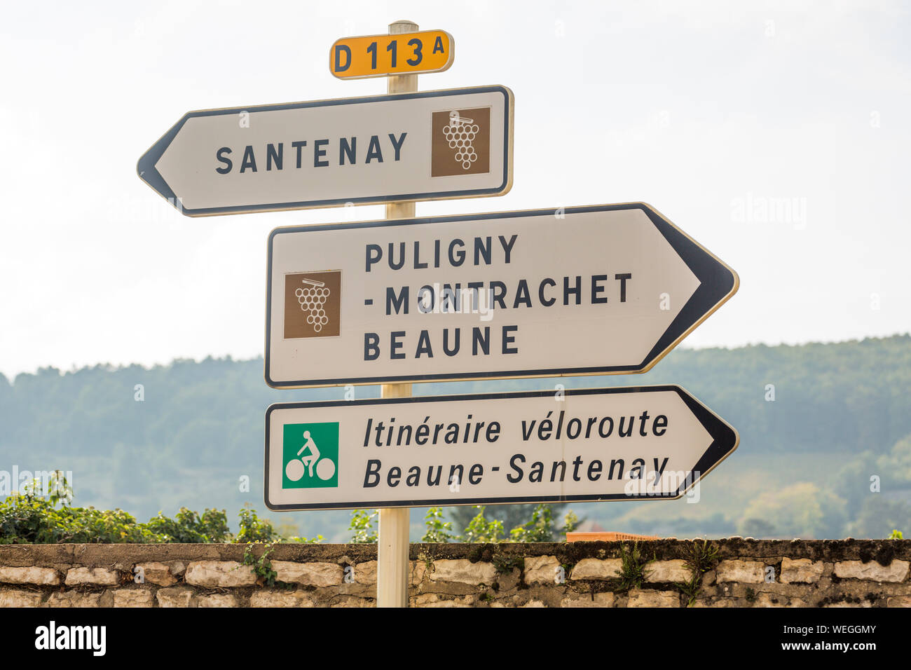 Sign posts on the Great Wine Route in Burgundy, France, autumn Stock Photo