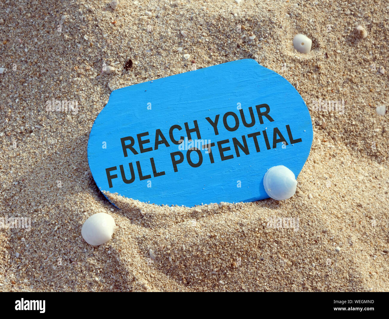 Reach your full potential sign on a plank. Stock Photo