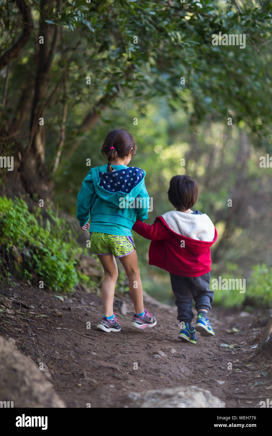 Young sister and brother walking hand in hand on path, San Jose ...