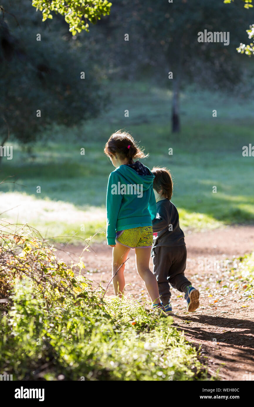 Young sister and brother walking hand in hand on path, San Jose ...