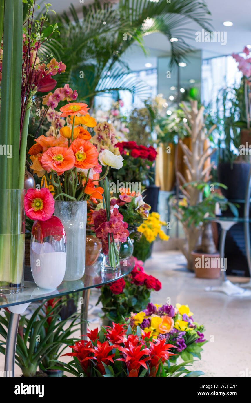 Flower displays in a Paris flower shop. Stock Photo