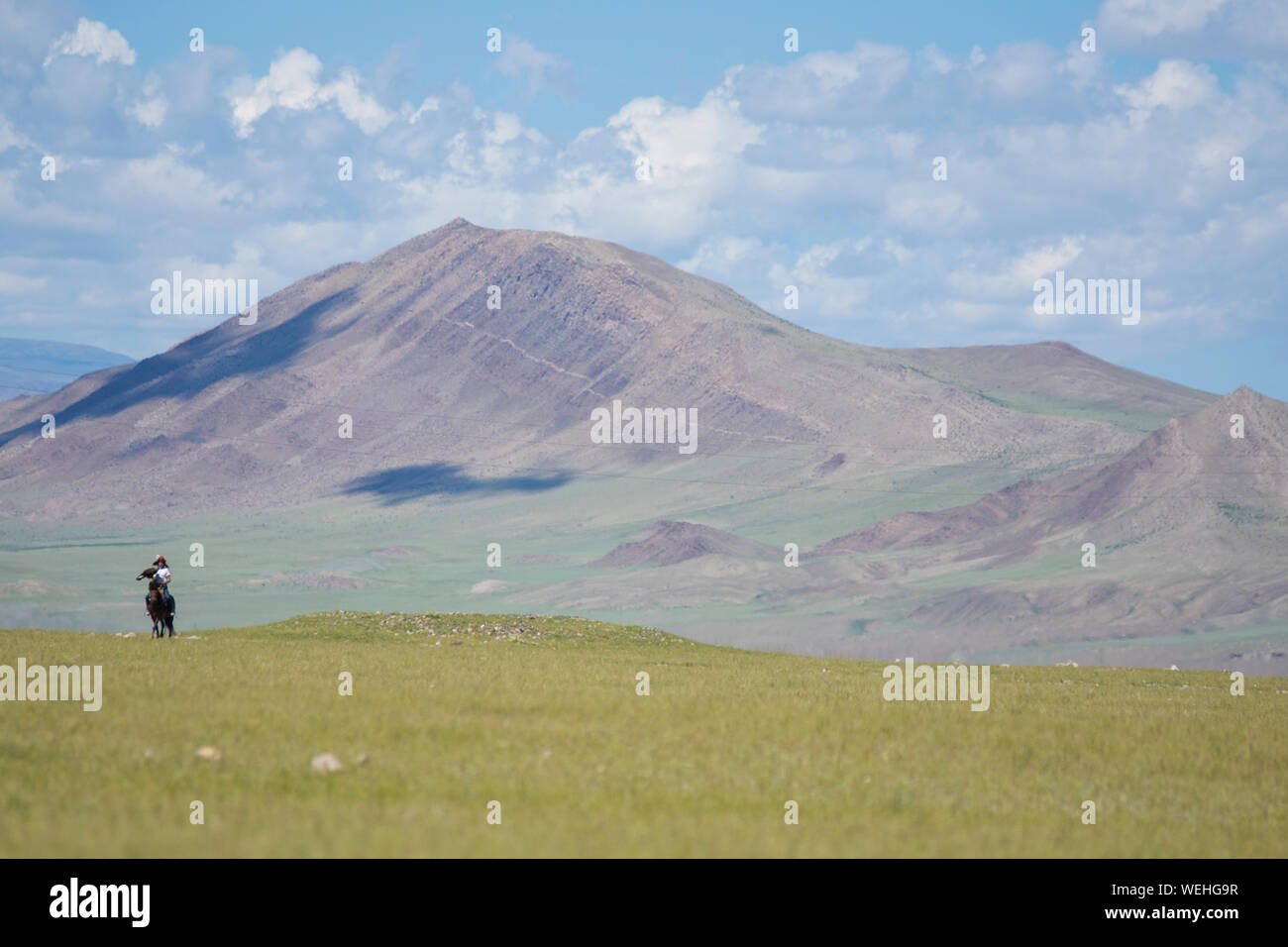Kazakh eagle hunter on horse in Mongolian steppe Stock Photo