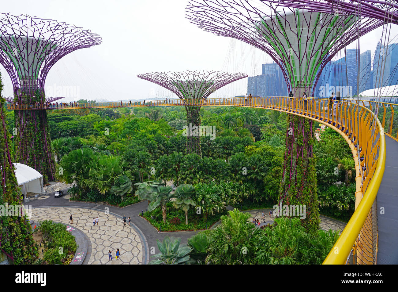 SINGAPORE 25 AUG 2019 View of the Supertree Grove, manmade metal