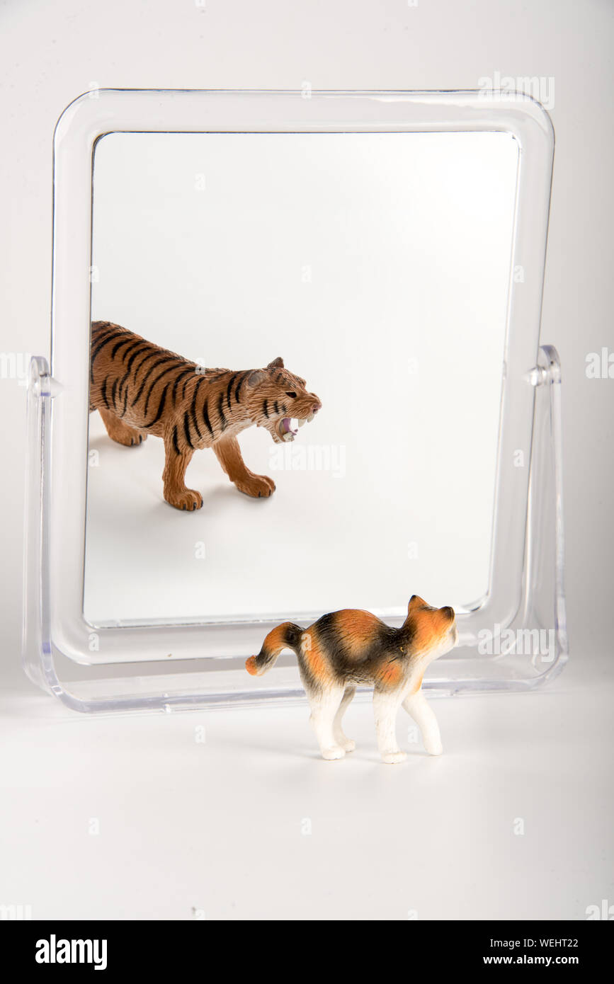 Toys With Mirror Over White Background Stock Photo Alamy