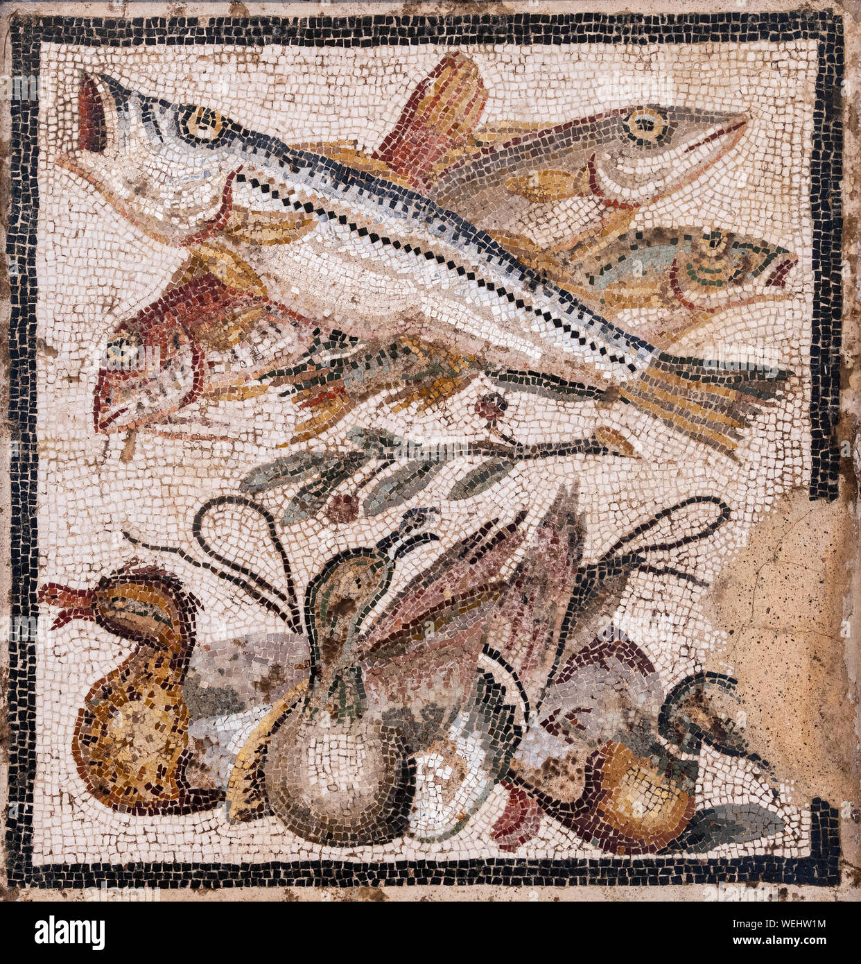 Roman wall mosaic from Pompeii depicting fish and ducks, now at the Naples Archaelogical Museum. Naples, Italy Stock Photo