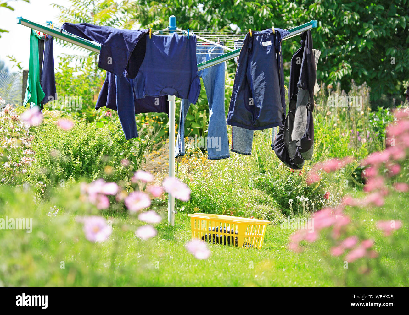 Clothes Drying On Rotary Washing Line On Grassy Field At Backyard Stock  Photo - Alamy