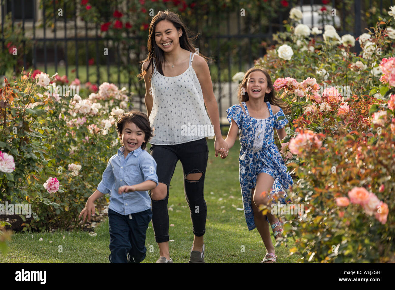 Sisters and brother of Asian and mixed ethnicity running and laughing together in rose garden, San Jose, California Stock Photo