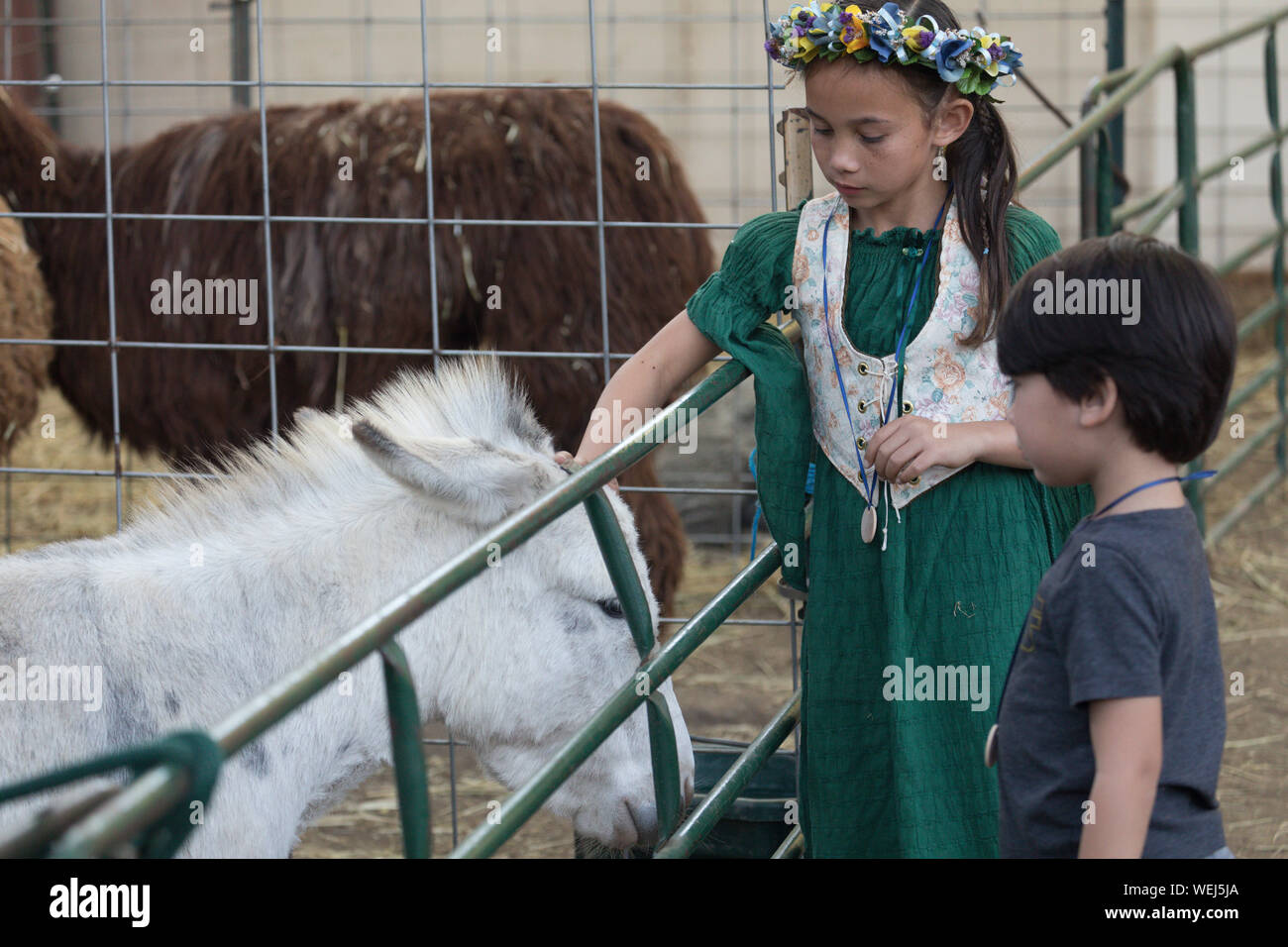 Brother and sister 5-6 years old and 9 years old of Asian appearance at petting zoo with pony, Gilroy, California Stock Photo