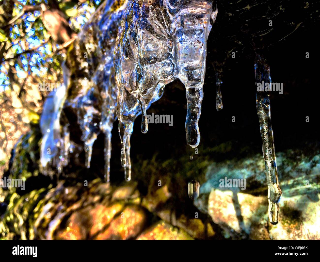 Low hanging tree branches hi-res stock photography and images - Alamy