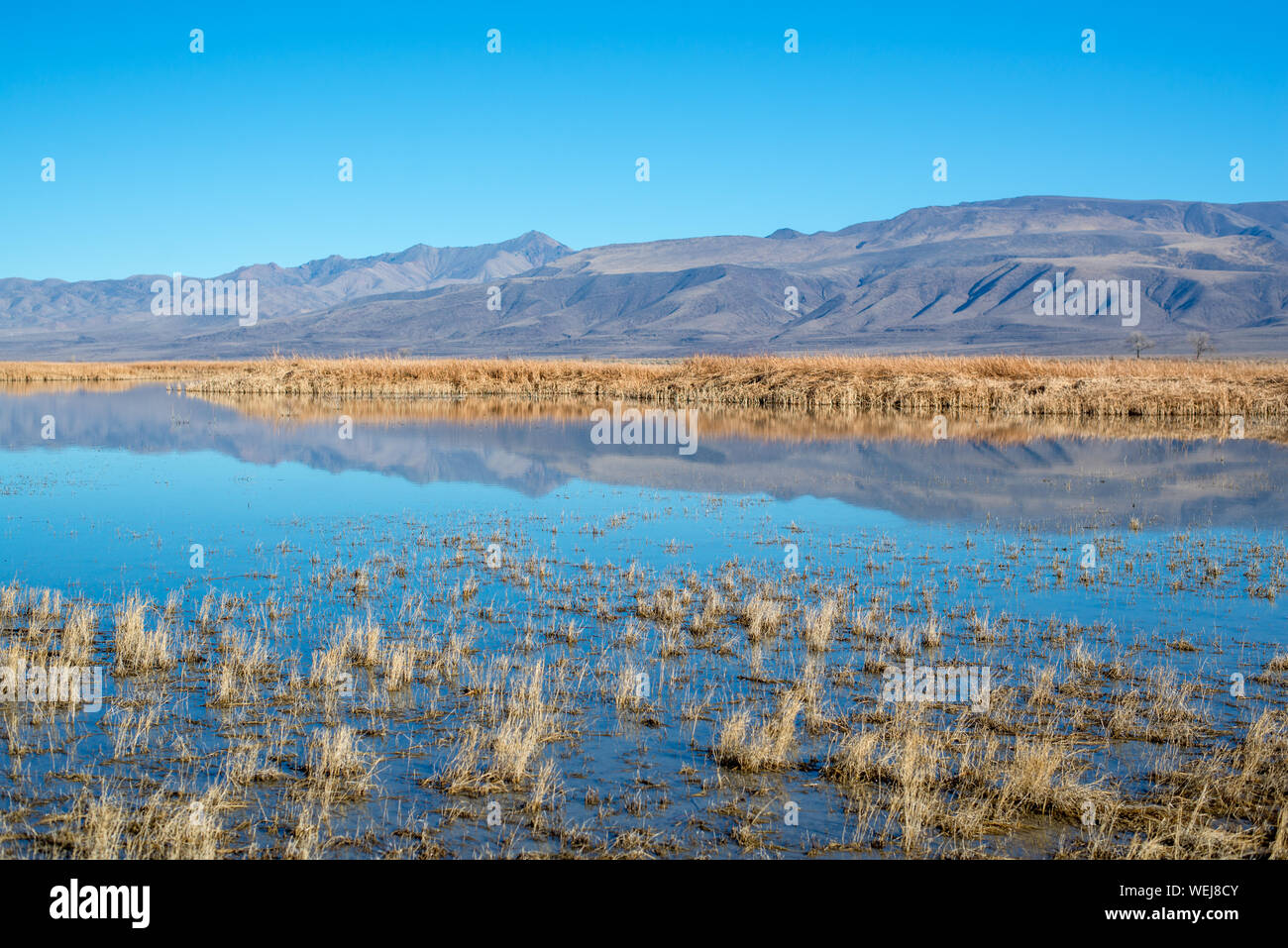 Stillwater range hires stock photography and images Alamy
